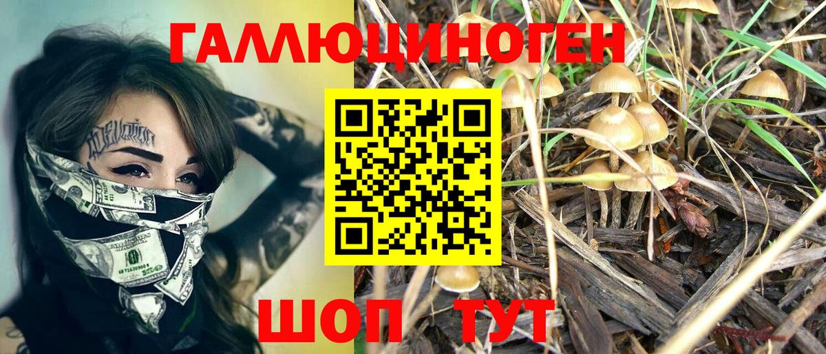 Кстово  Галлюциногенные грибы прущие грибы  Вход с VPN 