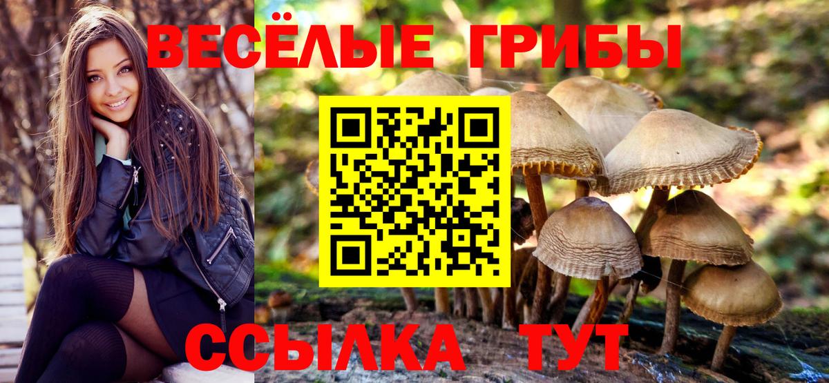 ГАШ Кстово